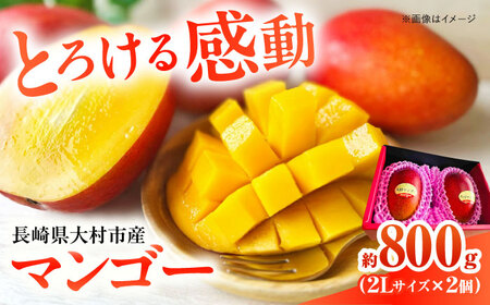 [2026年7月下旬から順次発送] 大村マンゴー 約800g (2L×2個) / 先行予約 マンゴー アップルマンゴー まんごー フルーツ トロピカルフルーツ 甘い 期間限定 国産 冷蔵配送 / 大村市 / 県央リサイクル開発[ACBC001]
