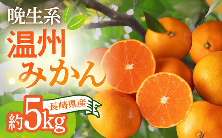 [12月中旬〜1月配送]長崎県産 温州みかん (晩生系) 5kg 柑橘 果物 フルーツ 大村市 かとりストアー[ACAN056]