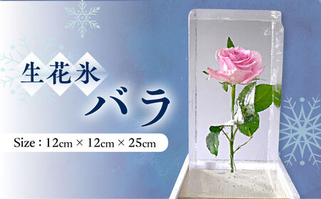 生花氷 バラ (12cm×12cm×25cm) 約4kg 氷 花 インテリア プレゼント ギフト 大村市 大村製氷[ACZN002]