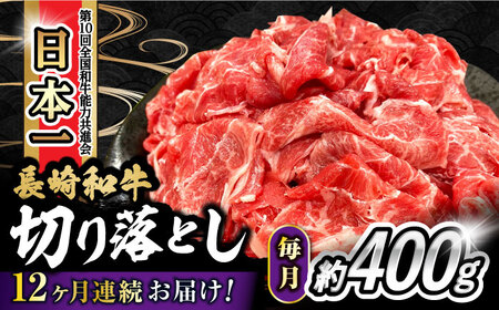 y12ցz tb܎܁Ia ؂藎Ƃ 400g v4.8kg / a Y a ؂藎Ƃ / 呺s / ƂXgA[[ACAN071]
