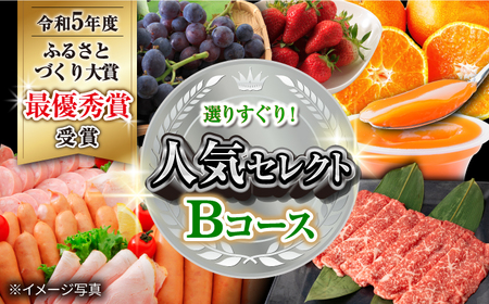 【12回定期便】シュシュの超人気　シュシュ色々なコース 大村市 おおむら夢ファームシュシュ[ACAA123]