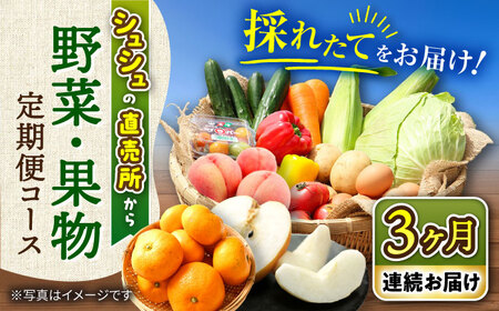 [3回定期便]シュシュの直売所から野菜・果物定期便コース / 野菜 やさい 果物 くだもの フルーツ ふるーつ 産地直送 フルーツ定期便 / 大村市 / おおむら夢ファームシュシュ[ACAA164]