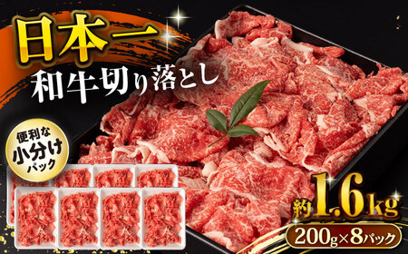 a ؂藎Ƃ 1.6kg /  ؂藎Ƃ ؗ 肨Ƃ Ă ₫ Ԃ  / 呺s / ނ疲t@[VV[ACAA145]
