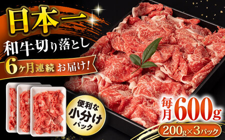 y6ցza ؂藎Ƃ 600g/iv3.6kgj /  ؂藎Ƃ ؂肨Ƃ 肨Ƃ Ă  / 呺s / ނ疲t@[VV [ACAA223]