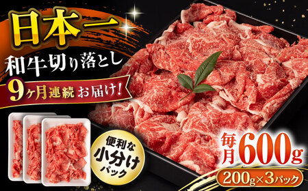 y9ցza ؂藎Ƃ 600g/iv5.4kgj /  ؂藎Ƃ ؂肨Ƃ 肨Ƃ Ă  / 呺s / ނ疲t@[VV [ACAA224]