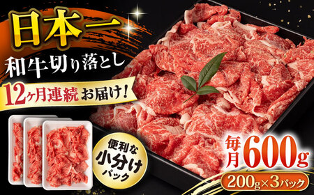 y12ցza ؂藎Ƃ 600g/iv7.2kgj /  ؂藎Ƃ ؂肨Ƃ 肨Ƃ Ă  / 呺s / ނ疲t@[VV [ACAA225]
