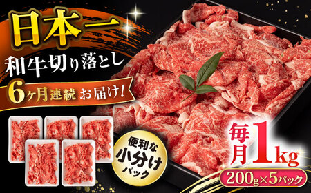 y6ցza ؂藎Ƃ 1kg/iv6kgj /  ؂藎Ƃ ؂肨Ƃ 肨Ƃ Ă  / 呺s / ނ疲t@[VV [ACAA231]