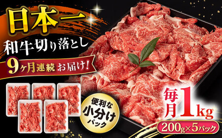 y9ցza ؂藎Ƃ 1kg/iv9kgj /  ؂藎Ƃ ؂肨Ƃ 肨Ƃ Ă  / 呺s / ނ疲t@[VV [ACAA232]