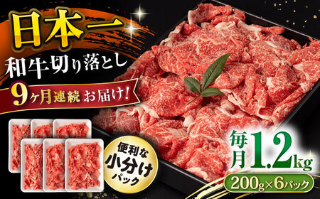 y9ցza ؂藎Ƃ 1.2kg/iv10.8kgj /  ؂藎Ƃ ؂肨Ƃ 肨Ƃ Ă  / 呺s / ނ疲t@[VV [ACAA236]
