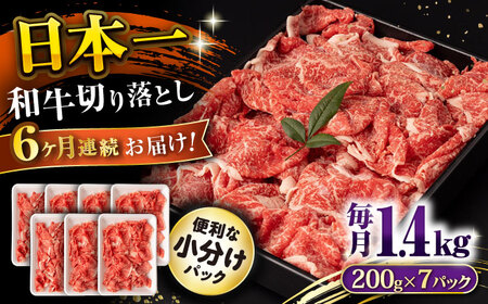 y6ցza ؂藎Ƃ 1.4kg/iv8.4kgj /  ؂藎Ƃ ؂肨Ƃ 肨Ƃ Ă  / 呺s / ނ疲t@[VV [ACAA239]