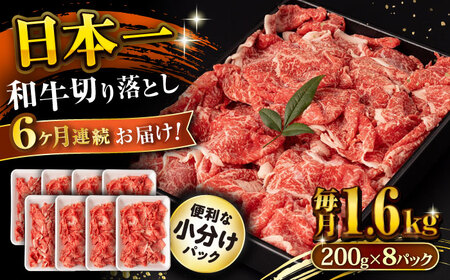 y6ցza ؂藎Ƃ 1.6kg/iv9.6kgj /  ؂藎Ƃ ؂肨Ƃ 肨Ƃ Ă  / 呺s / ނ疲t@[VV [ACAA243]