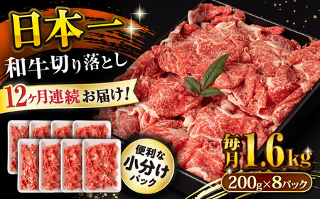 y12ցza ؂藎Ƃ 1.6kg/iv19.2kgj /  ؂藎Ƃ ؂肨Ƃ 肨Ƃ Ă  / 呺s / ނ疲t@[VV [ACAA245]