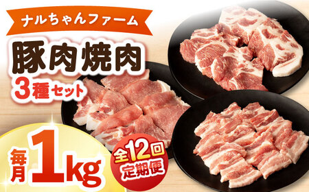 y12ցzit@[ؓēZbg 1kg / ؓ ؃[X  o ē / ނ疲t@[VV [ACAA341]