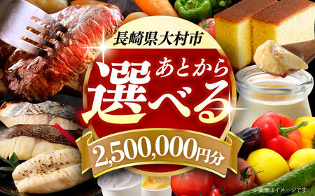 [あとから選べる]大村市ふるさとギフト250万円分 あとからセレクト 寄附後に選べる 後日選択 ゆっくり選べる あとから寄附 あとからギフト あとからセレクト あとから選べる [ACBI026]