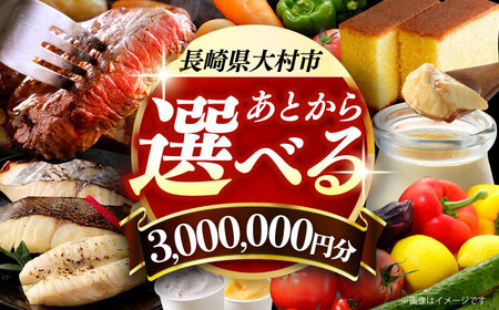 [あとから選べる]大村市ふるさとギフト300万円分 あとからセレクト 寄附後に選べる 後日選択 ゆっくり選べる あとから寄附 あとからギフト あとからセレクト あとから選べる [ACBI027]
