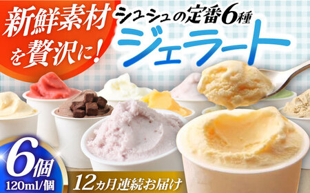 [12回定期便]シュシュ 定番ジェラート6個セット / アイス アイスクリーム ジェラート スイーツ / 大村市 / おおむら夢ファームシュシュ[ACAA408]