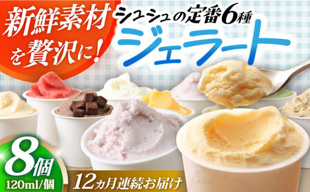 y12ցzVV ԃWF[g8Zbg / ACX ACXN[ WF[g XC[c /  呺s / ނ疲t@[VV[ACAA412]