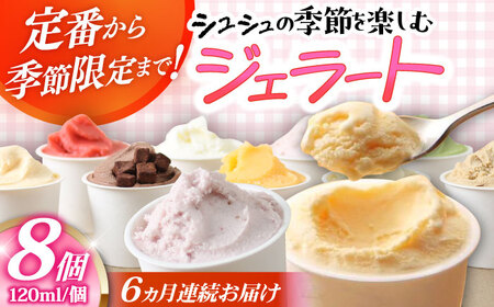y6ցzVV G߂̃WF[g8Zbg / ACX ACXN[ WF[g XC[c /  呺s / ނ疲t@[VV[ACAA418]