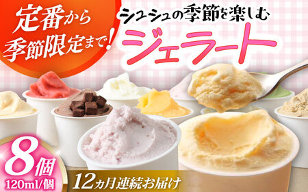 y12ցzVV G߂̃WF[g8Zbg / ACX ACXN[ WF[g XC[c /  呺s / ނ疲t@[VV[ACAA419]