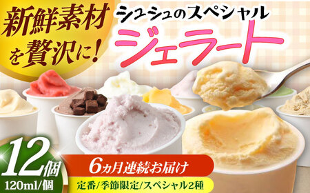 [6回定期便]シュシュのスペシャルジェラート12個セット(定番/季節限定/スペシャル2種) / アイス アイスクリーム ジェラート スイーツ / 大村市 / おおむら夢ファームシュシュ[ACAA421]