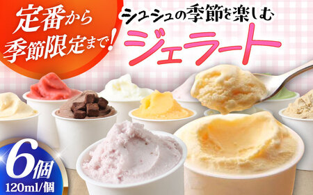 シュシュ 季節のジェラート6個セット / アイス アイスクリーム ジェラート スイーツ / 大村市 / おおむら夢ファームシュシュ[ACAA423]