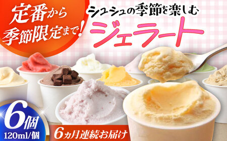[6回定期便]シュシュ 季節のジェラート6個セット / アイス アイスクリーム ジェラート スイーツ / 大村市 / おおむら夢ファームシュシュ[ACAA425]