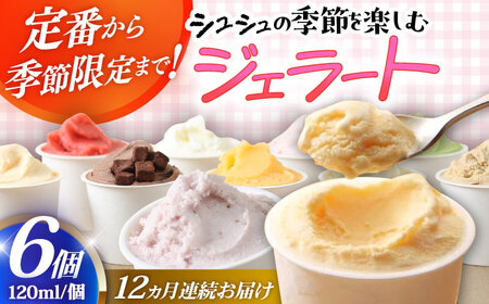 y12ցzVV G߂̃WF[g6Zbg  / ACX ACXN[ WF[g XC[c / 呺s / ނ疲t@[VV[ACAA426]