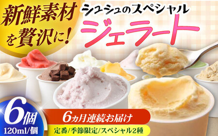 [6回定期便]シュシュのスペシャルジェラート6個セット(定番/季節限定/スペシャル2種) / アイス あいす アイスクリーム あいすくりーむ ジェラート じぇらーと スイーツ すいーつ / 大村市 / おおむら夢ファームシュシュ[ACAA433]