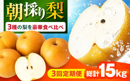 【3回定期便】 朝採り旬の梨 食べ比べ 約5kg/1回 梨定期便 フルーツ定期便 梨 ナシ なし フルーツ 果物 果物定期便 / 大村市 / 産直松吉 [ACZC010]