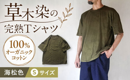 オーガニックコットン 完熟Tシャツ　【海松色】 Sサイズ / オーガニック コットン 綿100　手染め 草木染め Ｔシャツ 半袖 トップス ファッション インナー 女性用 レディース 男性用 メンズ ユニセックス 男女兼用 ギフト 贈答 プレゼント / 大村市 / ISTIST[ACZW060-1]