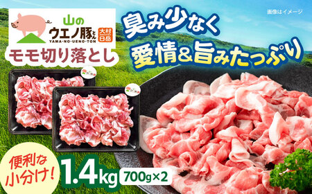「山のウエノ豚」 モモ 切り落とし 1.4kg(700g×2パック) 大村市/合同会社肉のマルシン[ACCF001]