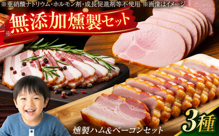 yYz nx[RZbg/ n x[R Zbg 񂹂 ܂/呺s/Yg[ACZC009]