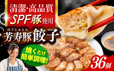 SPF豚「芳寿豚」餃子 計36個(18個×2袋)/ 餃子 ぎょうざ ギョウザ ギョーザ 焼餃子 水餃子 冷凍 惣菜 / 大村市 / かとりストアー[ACAN119]