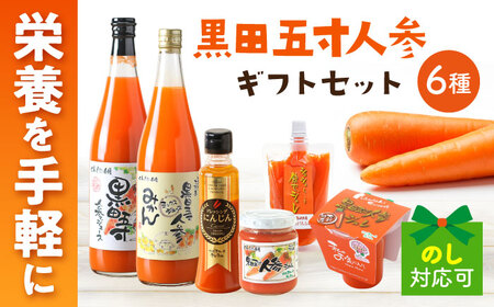 VVIWi cܐlQ lX6Zbg / lQ jW ɂ񂶂 W[X hbVO W / 呺s / ނ疲t@[[ACAA487]