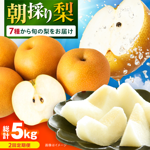 【2回定期便】朝採り旬の梨 約2.5kg（6玉）/回 計5kg 大村市 産直松吉/梨 なし 定期便 梨 幸水 豊水 秋麗 あきづき 新高 20世紀 二十世紀 かんた[ACZC012]