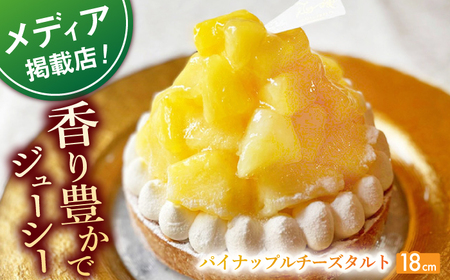 pCibv`[Y^g1z[(18cm)ySD@-Cotoyu Sweets-z[KAA397]/   َq XC[c P[L ^g  