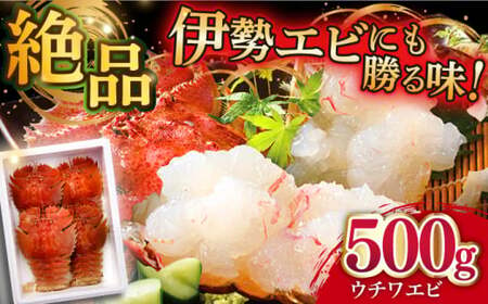 [5月発送][引き締まった身の旨味]平戸 ウチワエビ 三昧 500g[平戸さくら水産][KAA151]/ 長崎 平戸 魚介類 海老 えび エビ ウチワエビ 味噌汁 フライ 刺身 しゃぶしゃぶ ボイル