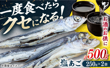 [お酒のお供に!]塩あご250g×2パック 平戸市 / 森崎水産[KAD305] あご おつまみ あご おつまみ あご おつまみ あご おつまみ あご おつまみ
