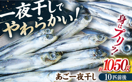 [口に広がる豊かな風味]あご一夜干し 約1050g(10匹前後)平戸市 / 森崎水産[KAD307] あご おつまみ あご おつまみ あご おつまみ あご おつまみ あご おつまみ