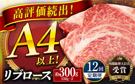 yS12ցza u[X Xe[L v3.6kg (300g×12) ˎs / HY[KAD340]