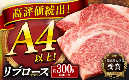 yw \za u[X Xe[L 300gi150g×2j ˎs / HY[KAD346]