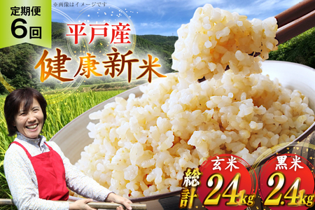  ߘa7N ˂̌N 4kg  400g Zbg v4.4kg 6 v 26.4kg [GRt@[ic 茧 ˎs hr42bgy400112]