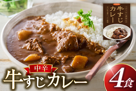カレー セット 牛 すじ カレー 4食 セット 中辛 [カレー工房NVfoods 長崎県 平戸市 hr42bgy400034]