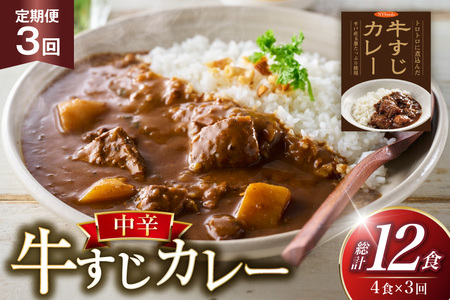 カレー セット 牛 すじ カレー 4食 セット 中辛 3回 定期便 [カレー工房NVfoods 長崎県 平戸市 hr42bgy400036]