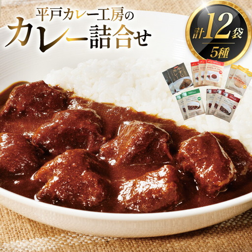 カレー セット カレー 5種 計12袋 セット [カレー工房NVfoods 長崎県 平戸市 hr42bgy400060]