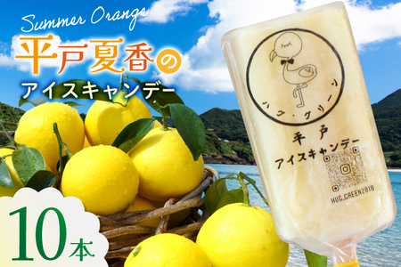 アイスキャンディー ギフト シャーベット オレンジ アイス 平戸夏香のアイスキャンデー 10本 100ml/本 [ハレルヤ合同会社 長崎県 平戸市 hr42bgy400139]