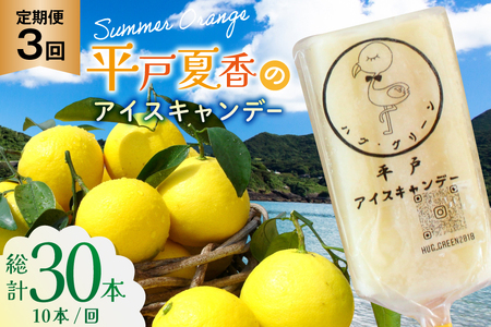 アイスキャンディー ギフト シャーベット オレンジ アイス 3回 定期便 平戸夏香のアイスキャンデー 総計30本 10本/回 [ハレルヤ合同会社 長崎県 平戸市 hr42bgy400141]