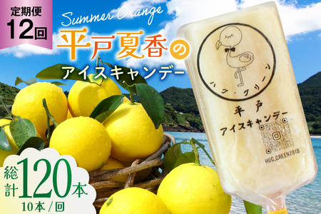 ACXLfB[ Mtg V[xbg IW ACX 12  ˉč̃ACXLf[ v120{ 10{/ [n 茧 ˎs hr42bgy400143]