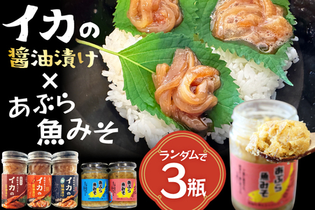 ご飯のお供 あぶらみそ イカ 醤油漬け 3本 ランダムでお届け [康貴丸水産 長崎県 平戸市 hr42bgy400203]
