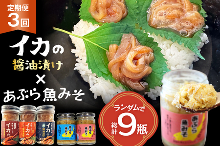 ご飯のお供 あぶらみそ イカ 醤油漬け 3本 ランダムでお届け 3回 定期便 総計9本 [康貴丸水産 長崎県 平戸市 hr42bgy400204]